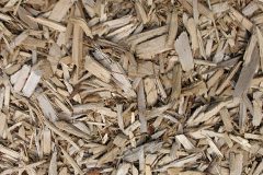 biomass boilers Lamas