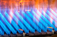 Lamas gas fired boilers